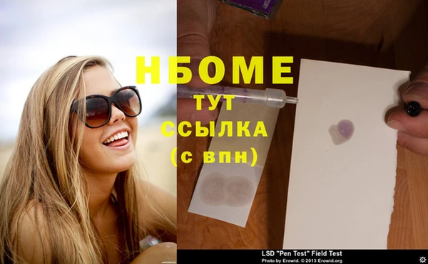 индика Ступино