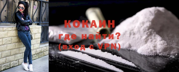 индика Богородицк