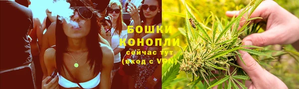 шишки Богородск