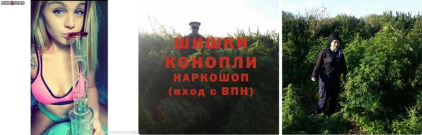 гидропоника Богданович