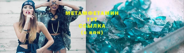 индика Богородицк