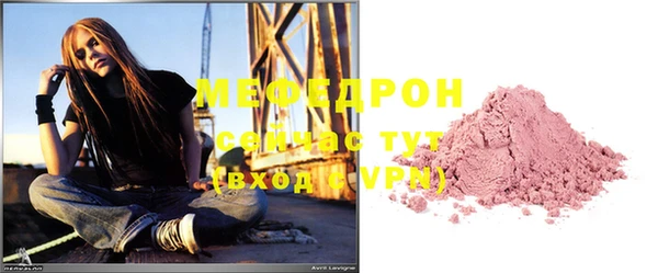 индика Богородицк