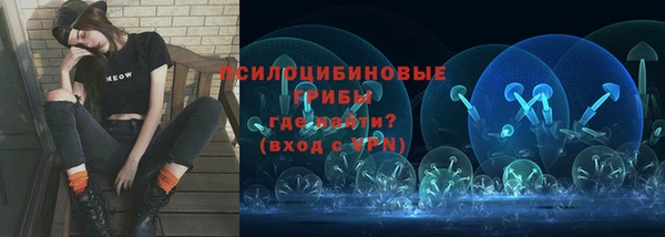 гидропоника Богданович