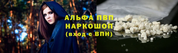 шишки Богородск