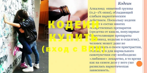 индика Богородицк