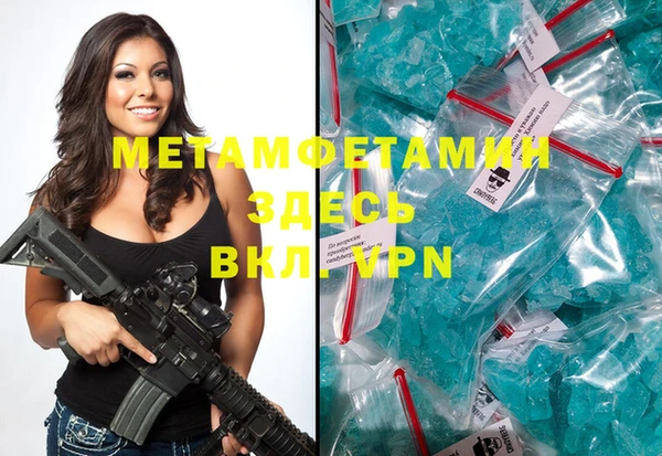 индика Богородицк