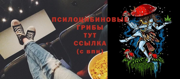 гидропоника Богданович