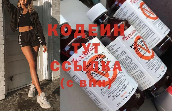 индика Богородицк