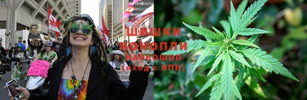 индика Богородицк
