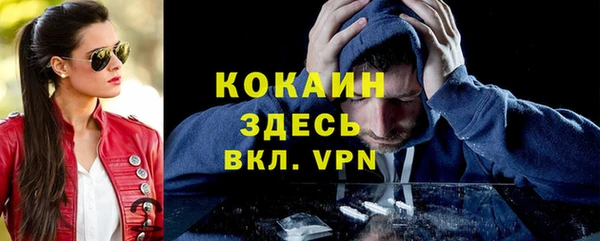 гидропоника Богданович