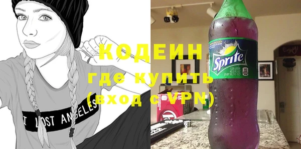 индика Богородицк