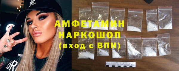 индика Богородицк