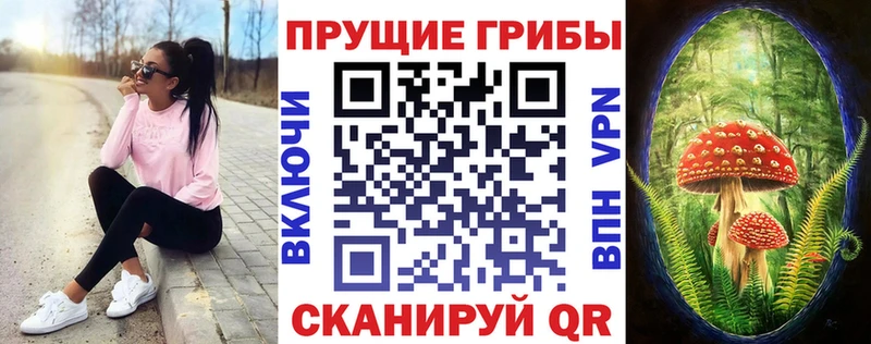 Галлюциногенные грибы Psilocybe  Мезень 